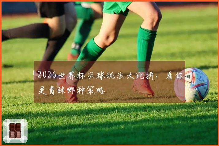 2026世界杯买球玩法大比拼，看你更青睐哪种策略