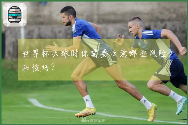 世界杯买球时你需要注意哪些风险和技巧？