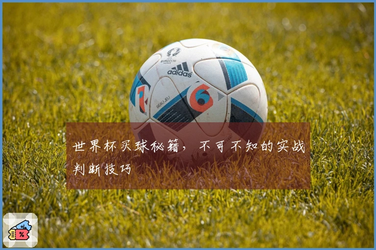 世界杯买球秘籍，不可不知的实战判断技巧