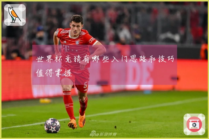 世界杯竞猜有哪些入门思路和技巧值得掌握
