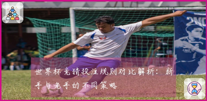 世界杯竞猜投注规则对比解析：新手与老手的不同策略