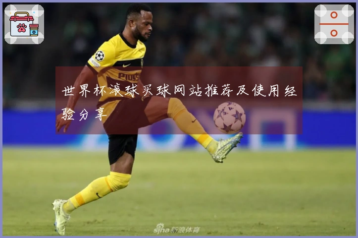 世界杯滚球买球网站推荐及使用经验分享